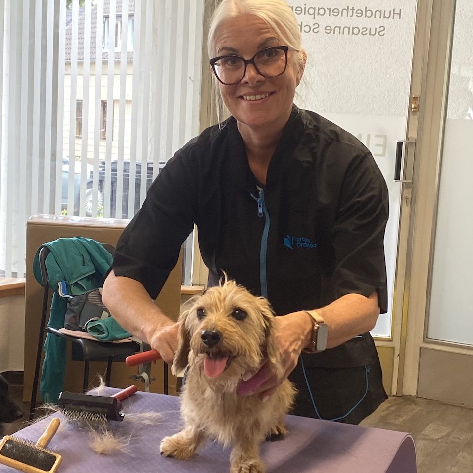 Hundefriseur Köln mobil 