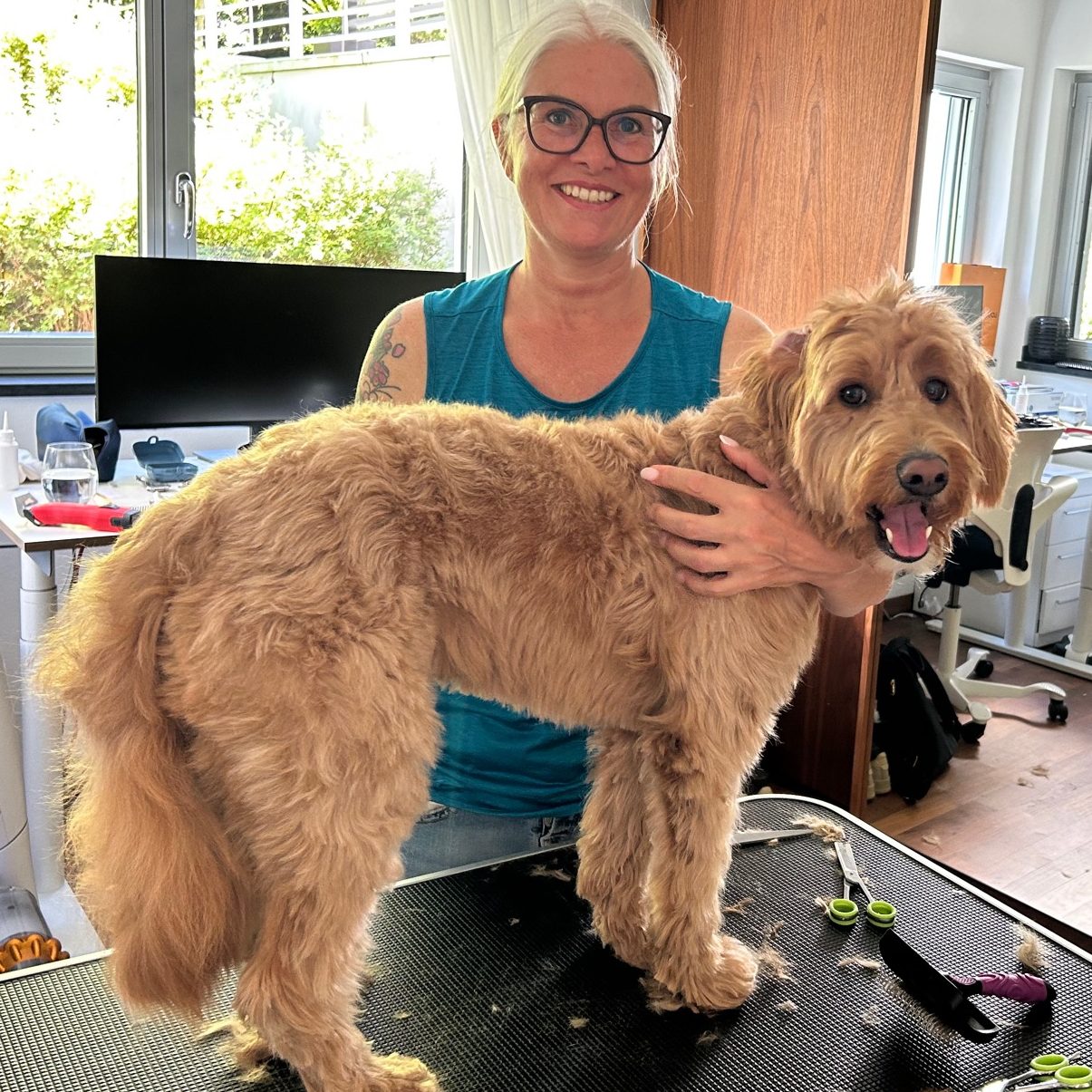 Mobile Hundefriseurin trimmt
